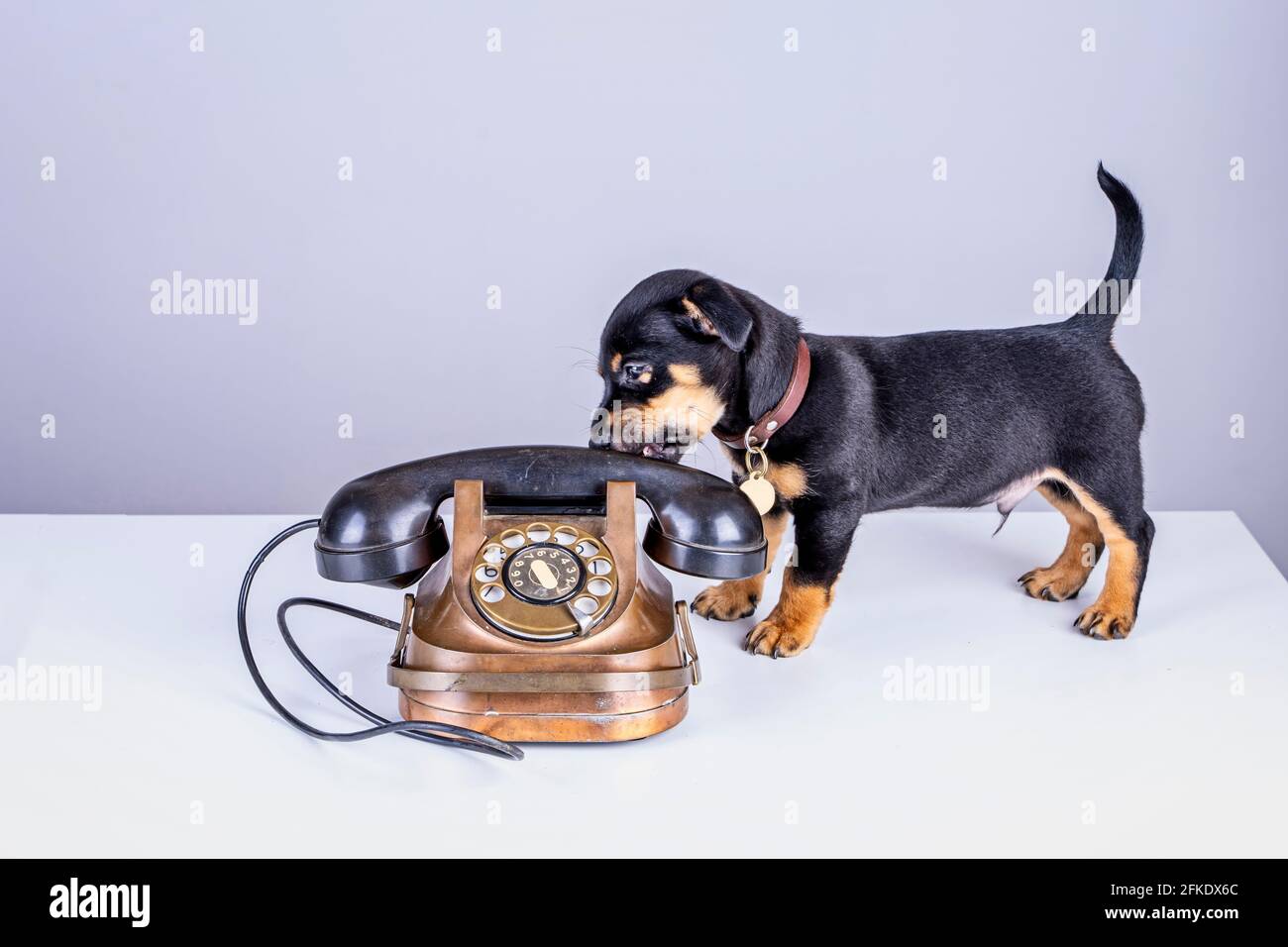 Retro Copper Dial Telephone ( It works) Retro Copper Dial Telephone ( It works)