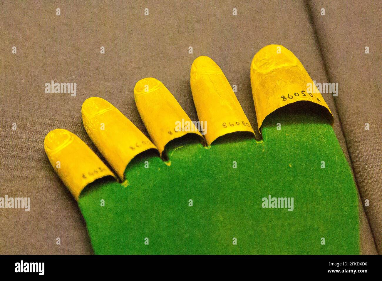 Anatomie du pied hires stock photography and images Alamy