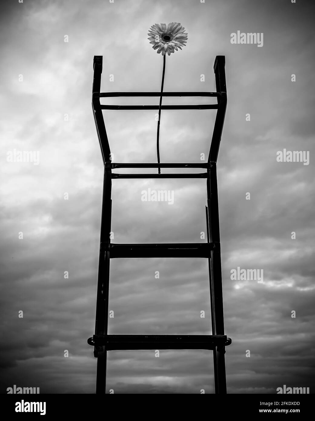 A flower is leaning atop a ladder against a dramatic, black and white sky Stock Photo