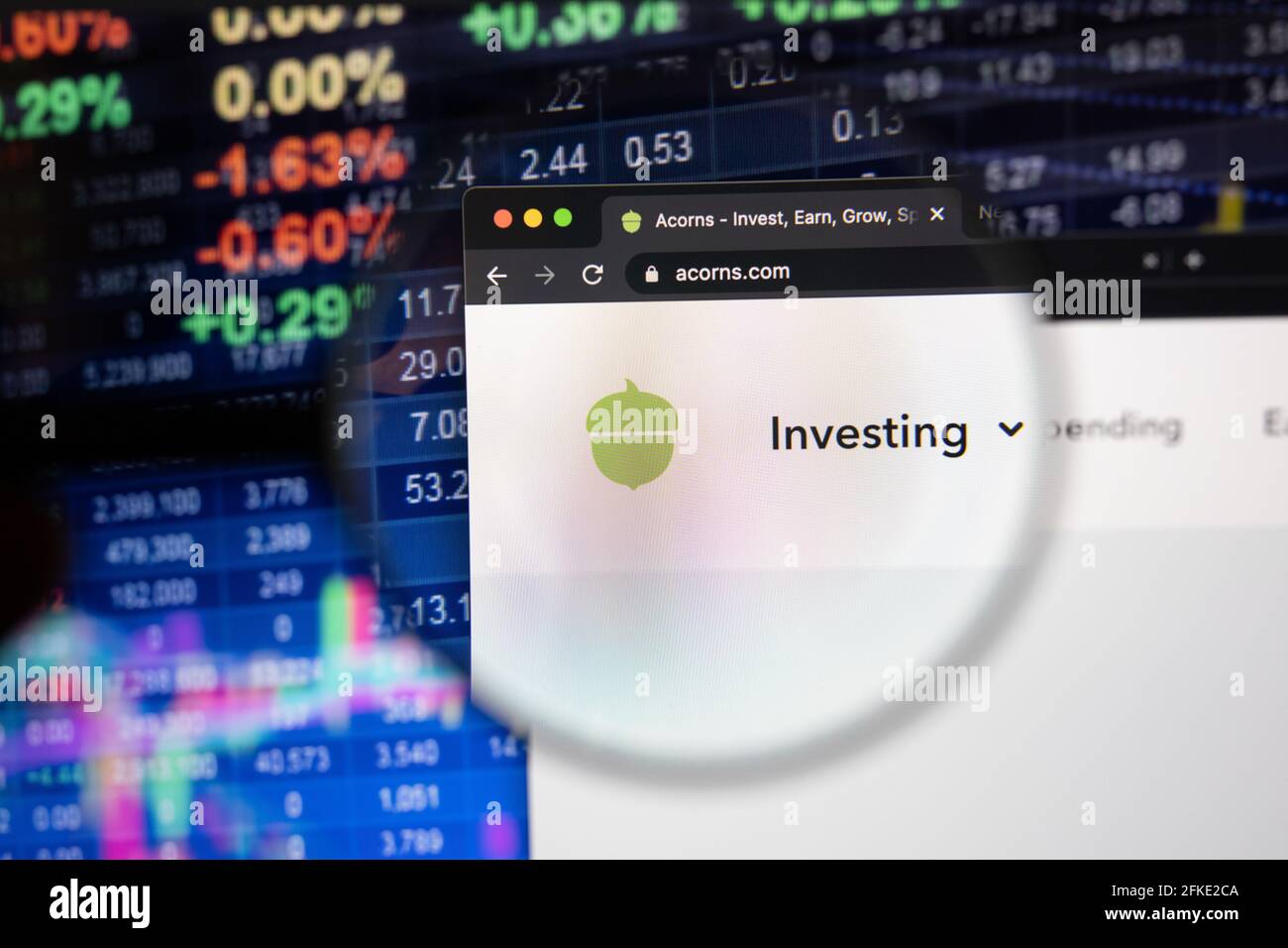 Acorn company logo on a website with blurry stock market developments in the background, seen on a computer screen through a magnifying glass Stock Photo