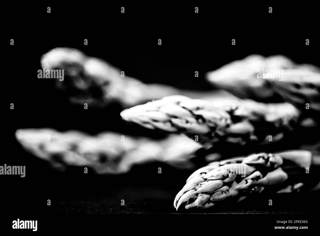 Black and white ; Green asparagusblack and white Stock Photo