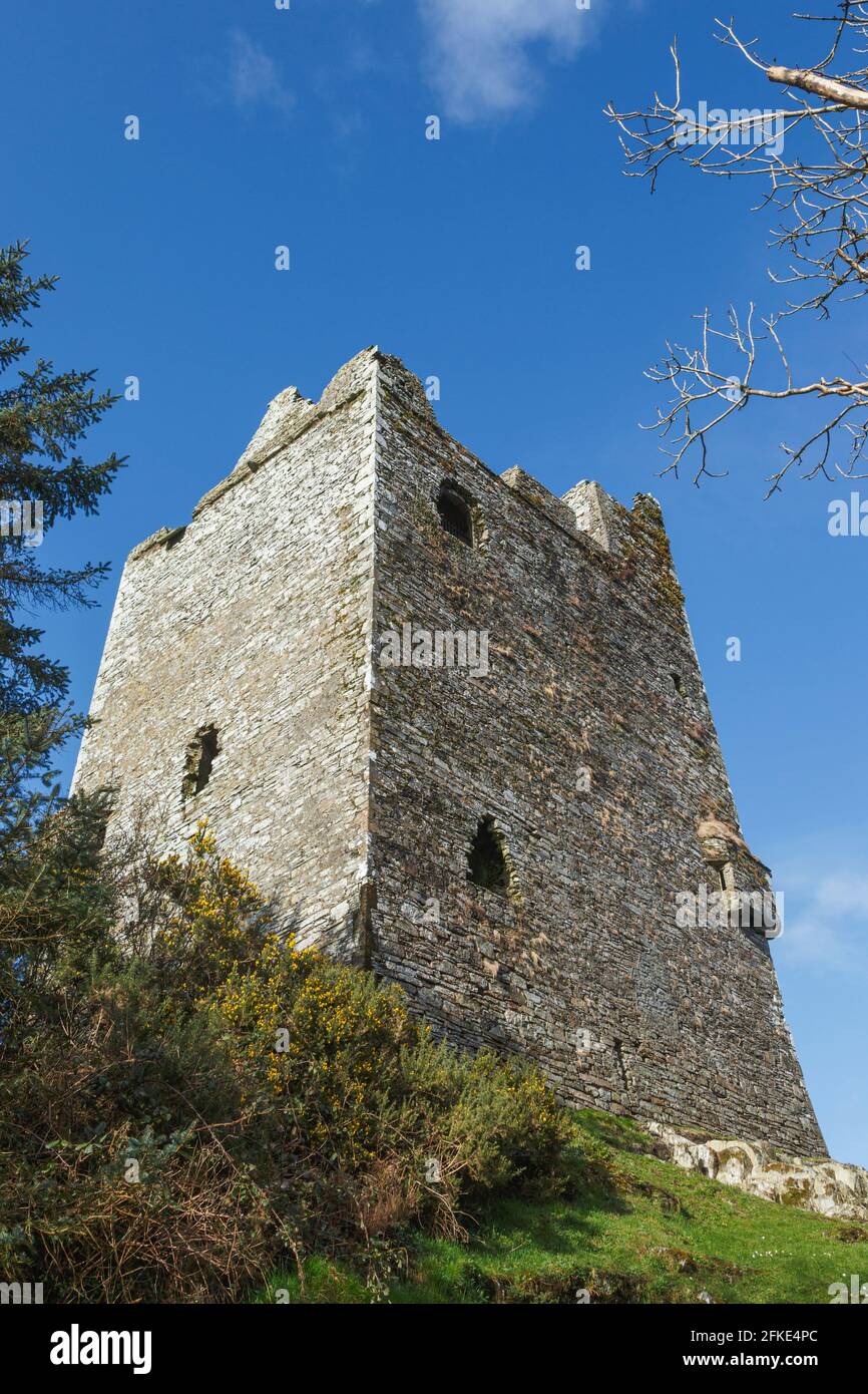 Ballynacarriga Castle, County Cork, West Cork, Republic of Ireland. Eire. This type of structure is known as a tower house.  Tower houses evolved for Stock Photo