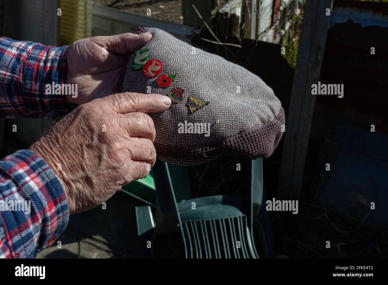In British popular culture, the flat cap is typically associated with older working-class men. pigeon fanciers with pigeon embroidery on his cap. Stock Photo