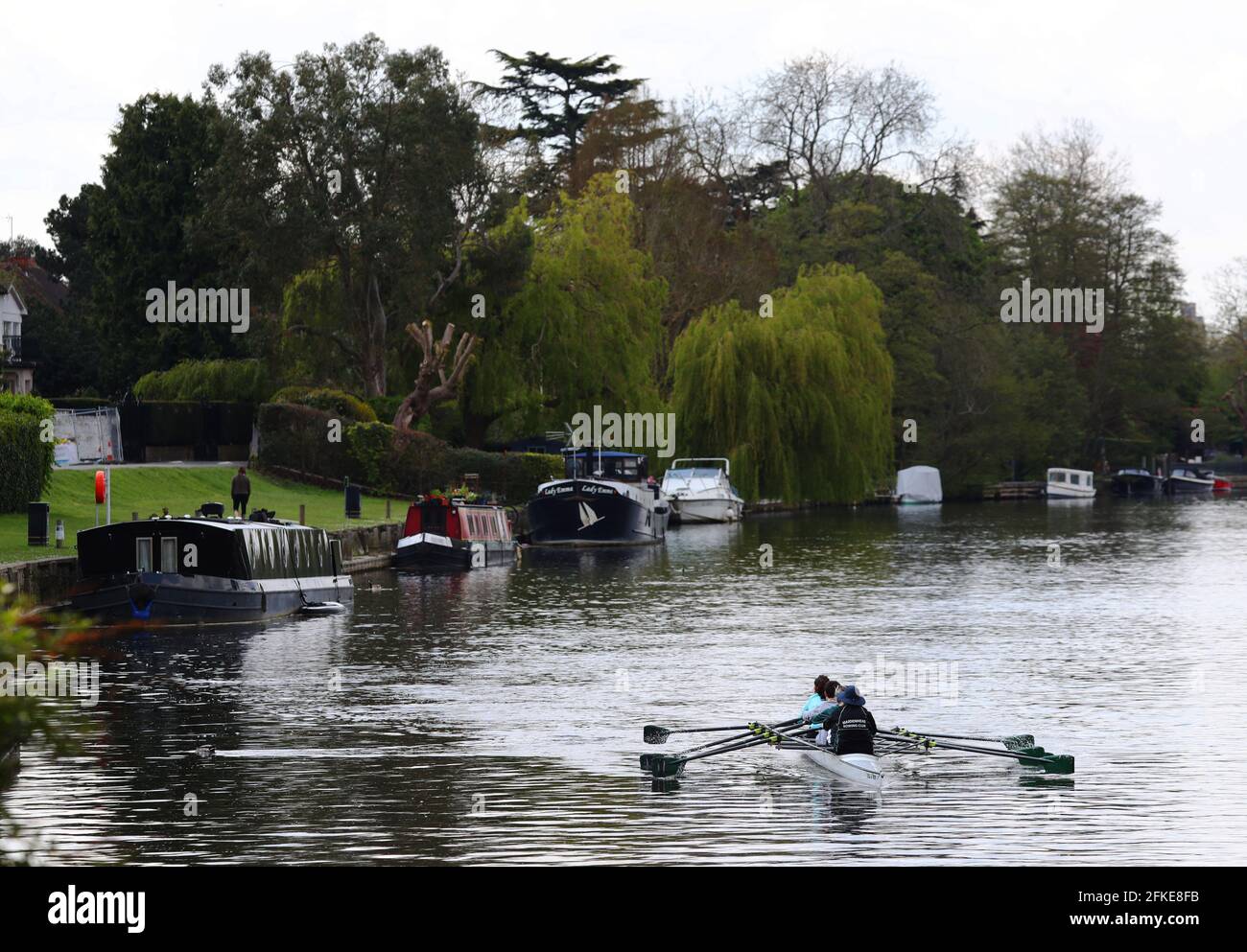 Rowers travel along the River Thames between Bray and Maidenhead, Berkshire. Picture date: Saturday May 1, 2021. Stock Photo