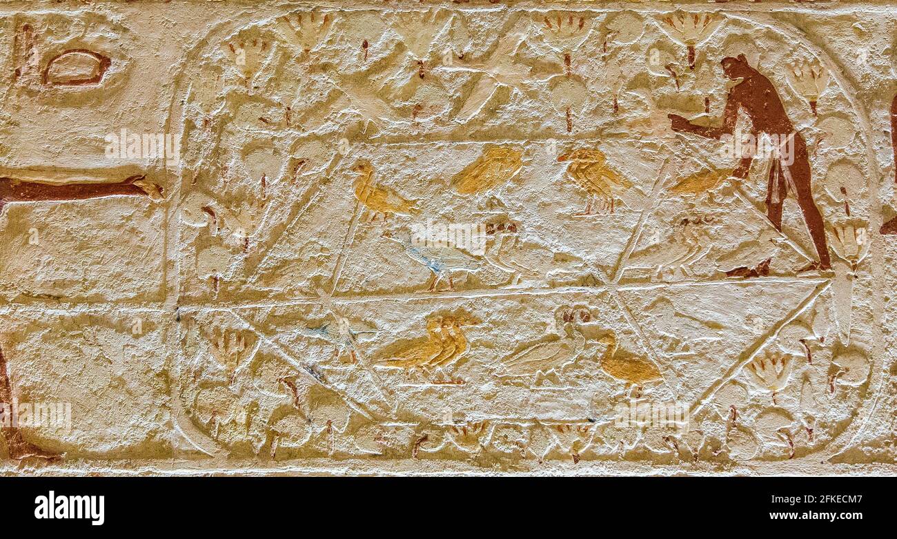 Egypt, Guizeh, tomb of the Queen Meresankh III, grand-daughter of Kheops and wife of Khephren. Main room, East wall, bird trapping with a clap net. Stock Photo