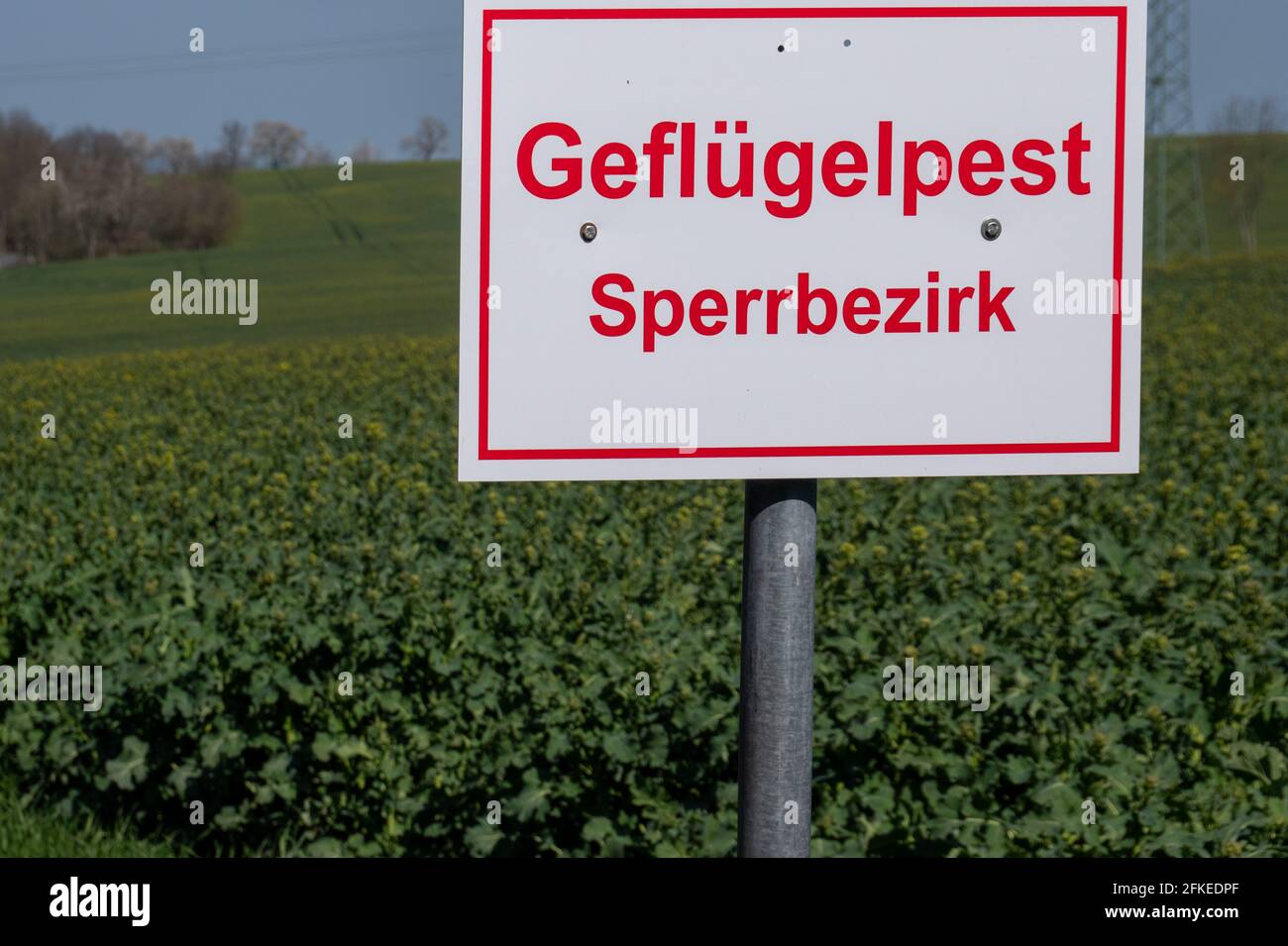 Warning sign avian influenza restricted area in Germany Stock Photo
