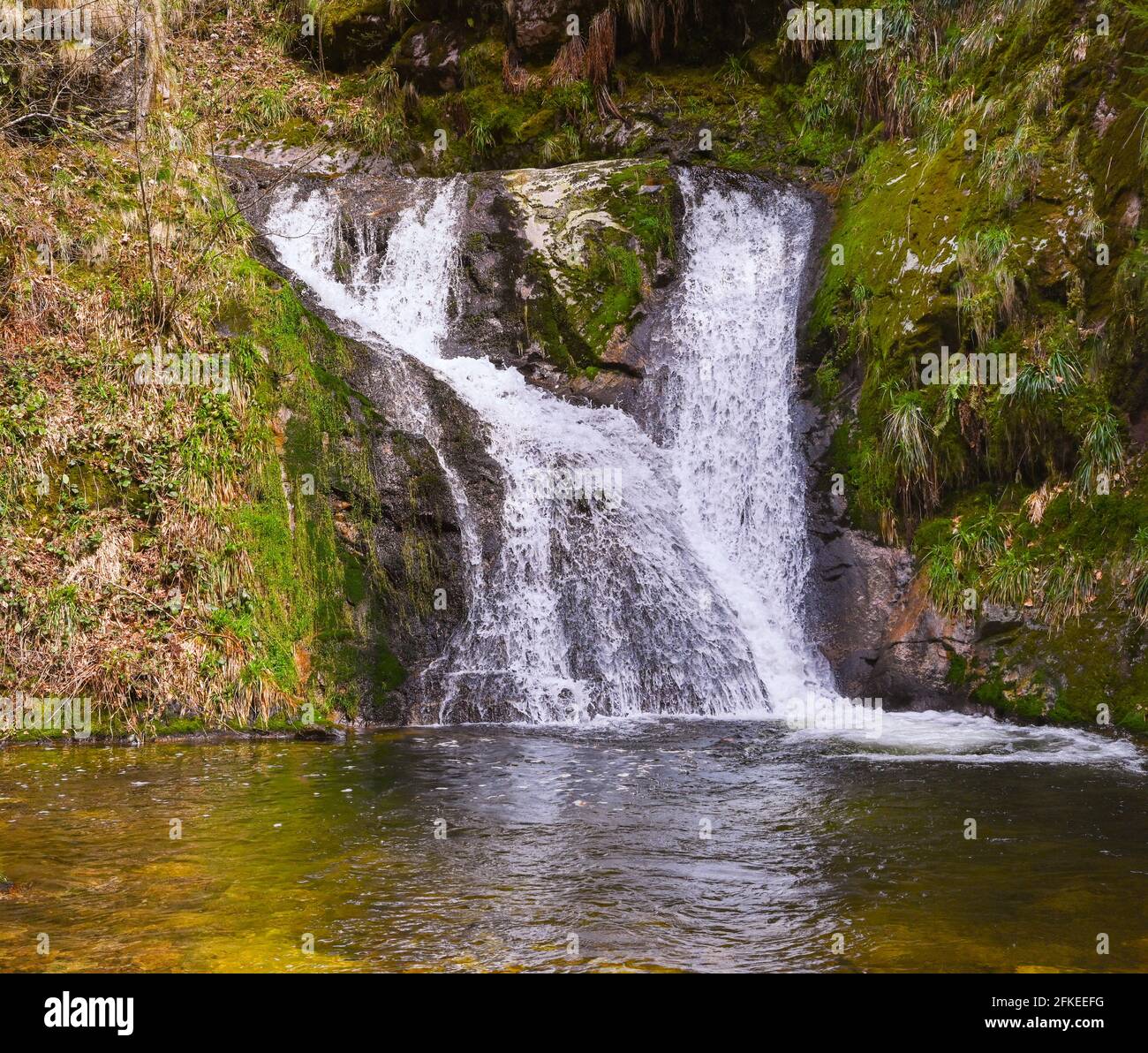 All Saints Waterfalls, also Büttensteiner waterfalls near the village  Oppenau, Northern Black Forest. Baden-Wuerttemberg, Germany, Europe Stock  Photo - Alamy