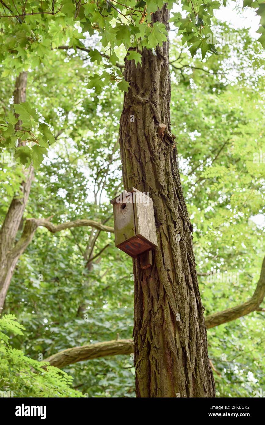 A birdhouse in Cytadela Park, Poznan, Poland Stock Photo