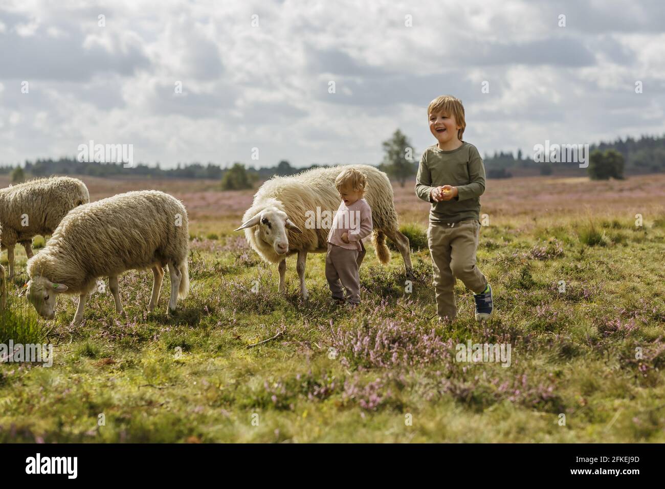 Dreamy shot of adorable Caucasian children being excited on a farm with ...