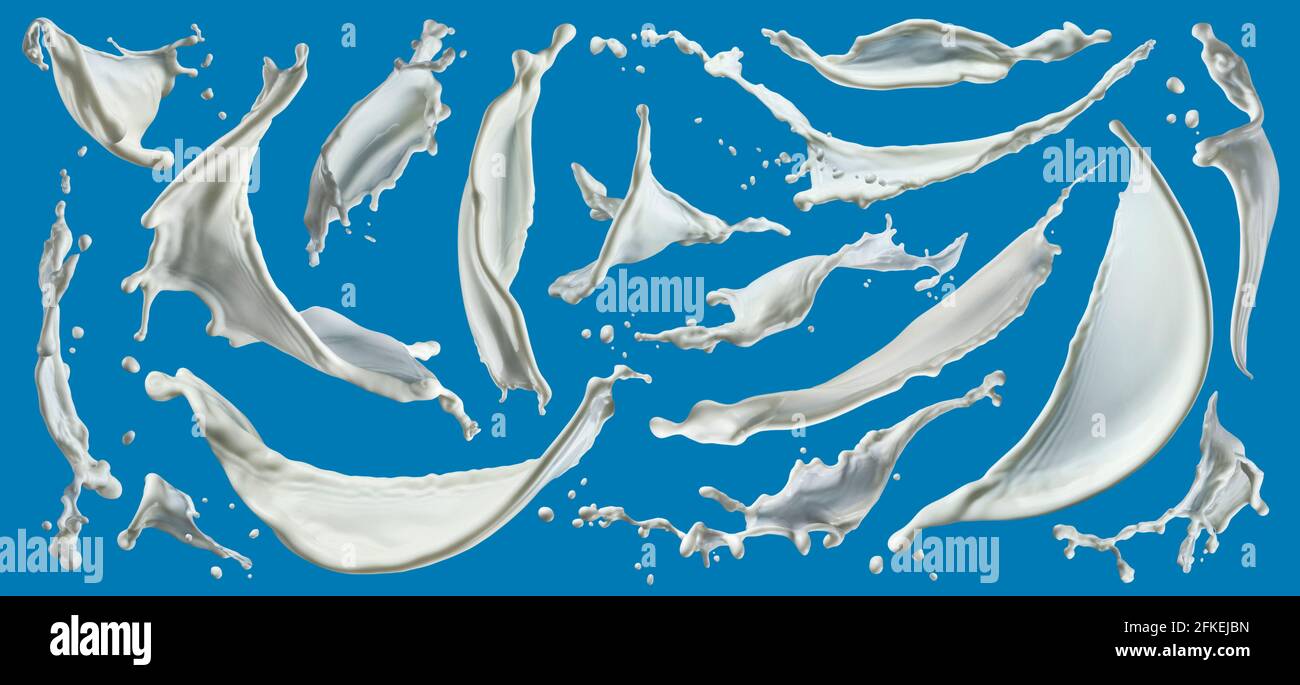 Milk splashes isolated on blue background Stock Photo