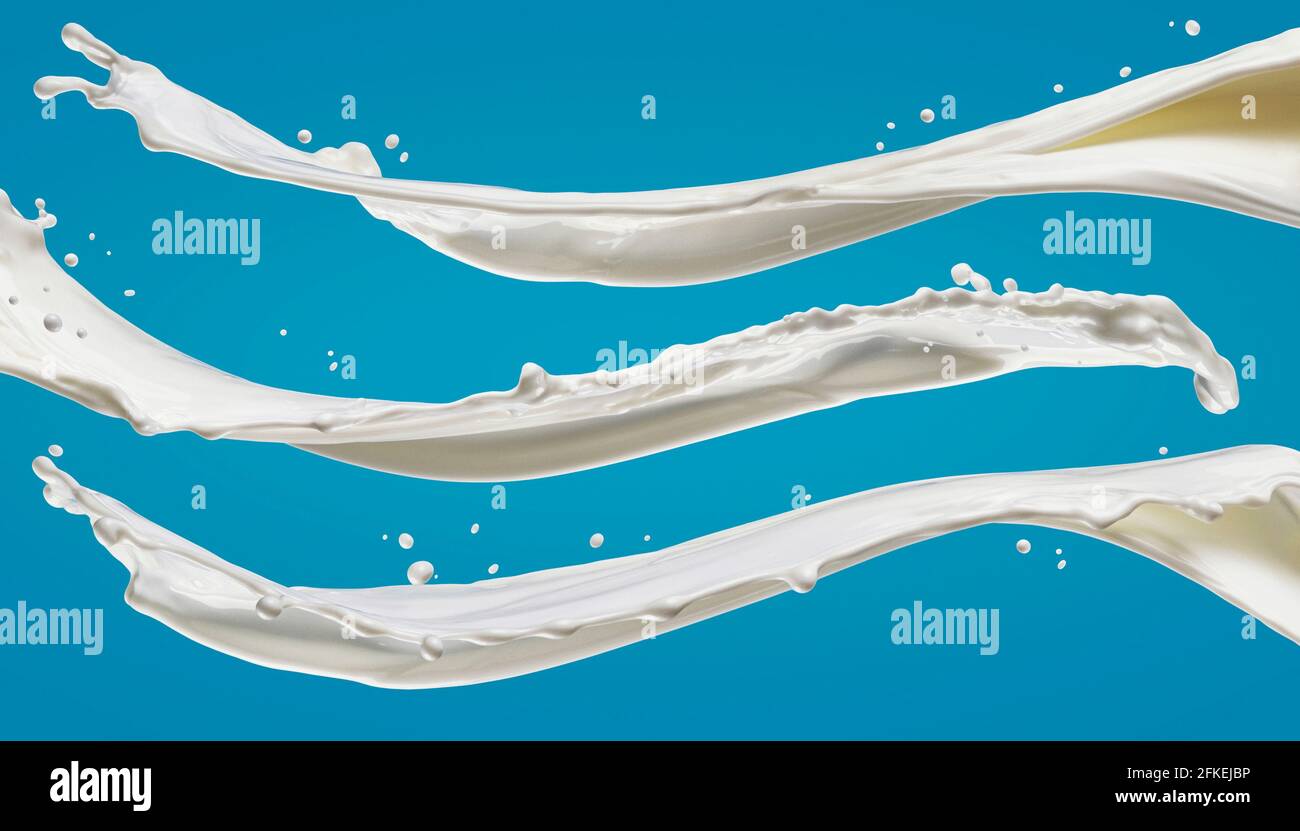 Milk splashes isolated on blue background Stock Photo