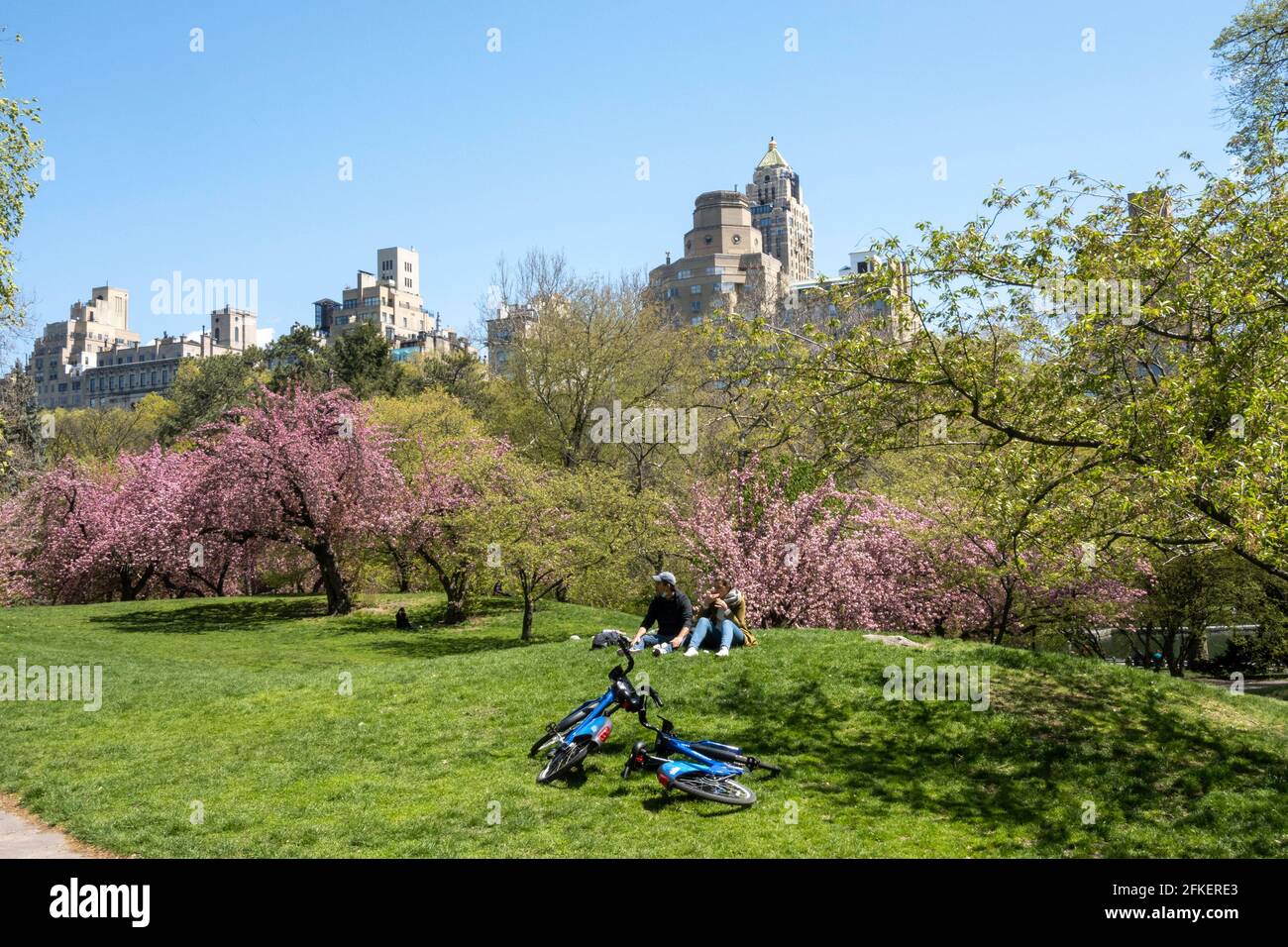 2021, A Couple Relaxing After A bike ride in Central Park surrounded by Flowering Cherry Trees on clear Spring Day, NYc, USA Stock Photo