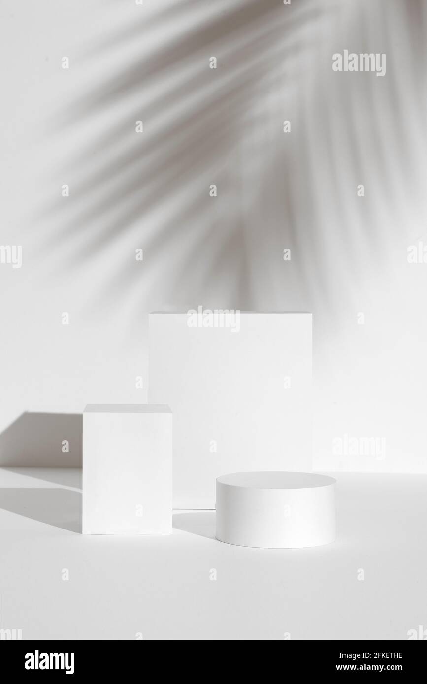 White Product Photography Base Background Mockup Template Props Stock