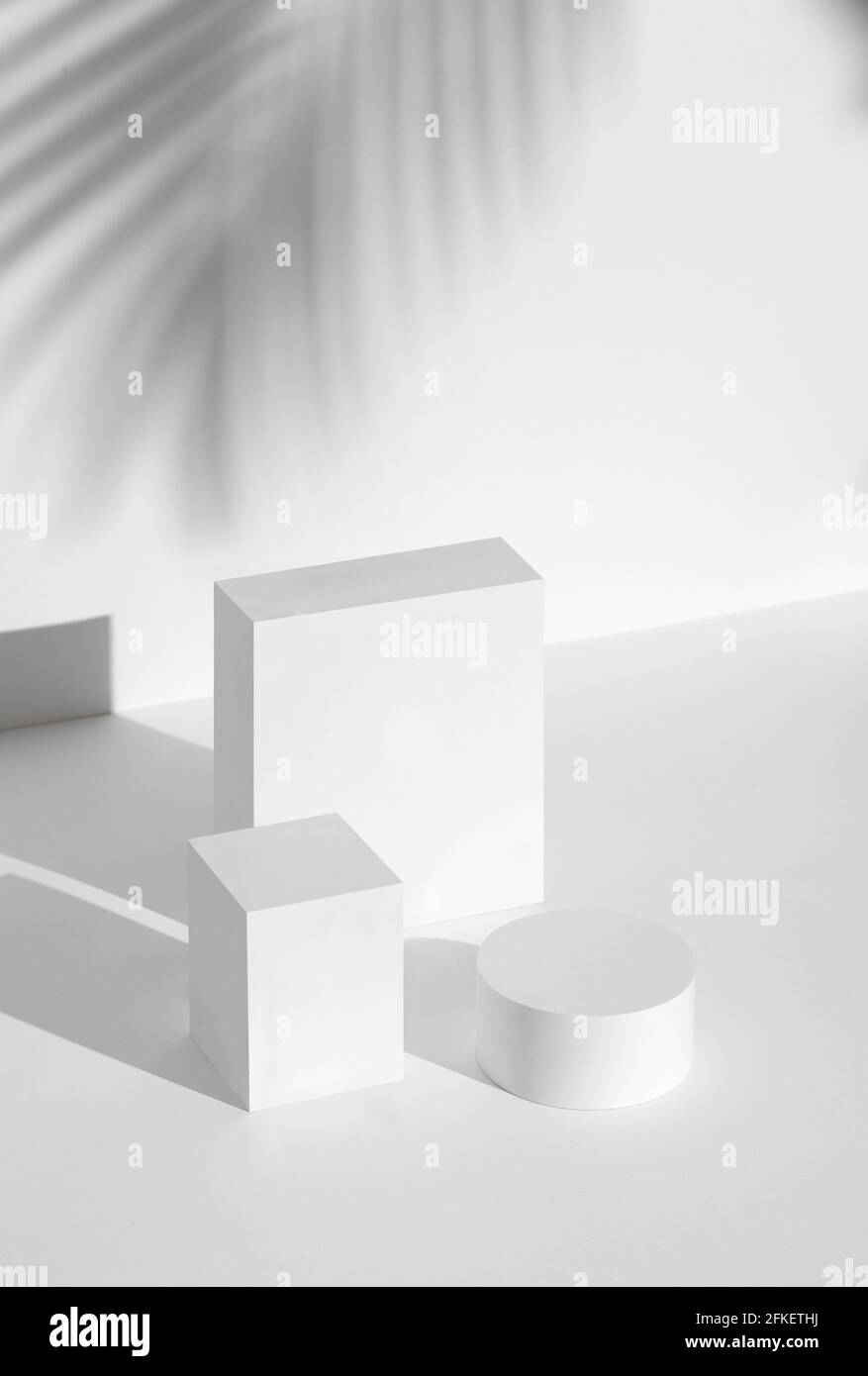 White Product Photography Base Background Mockup Template Props Stock