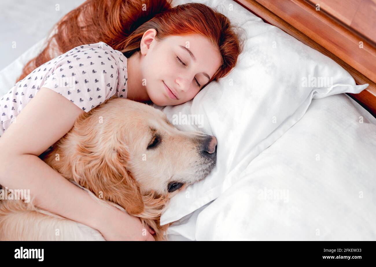 Girl with golden retriever dog in the bed Stock Photo - Alamy
