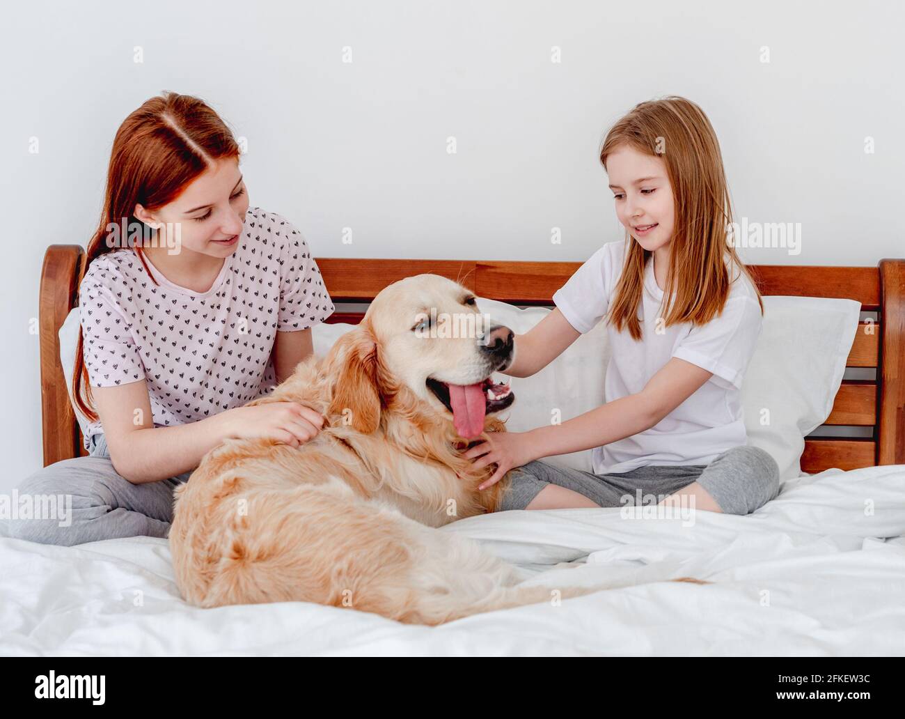 Girls with golden retriever dog in the bed Stock Photo - Alamy
