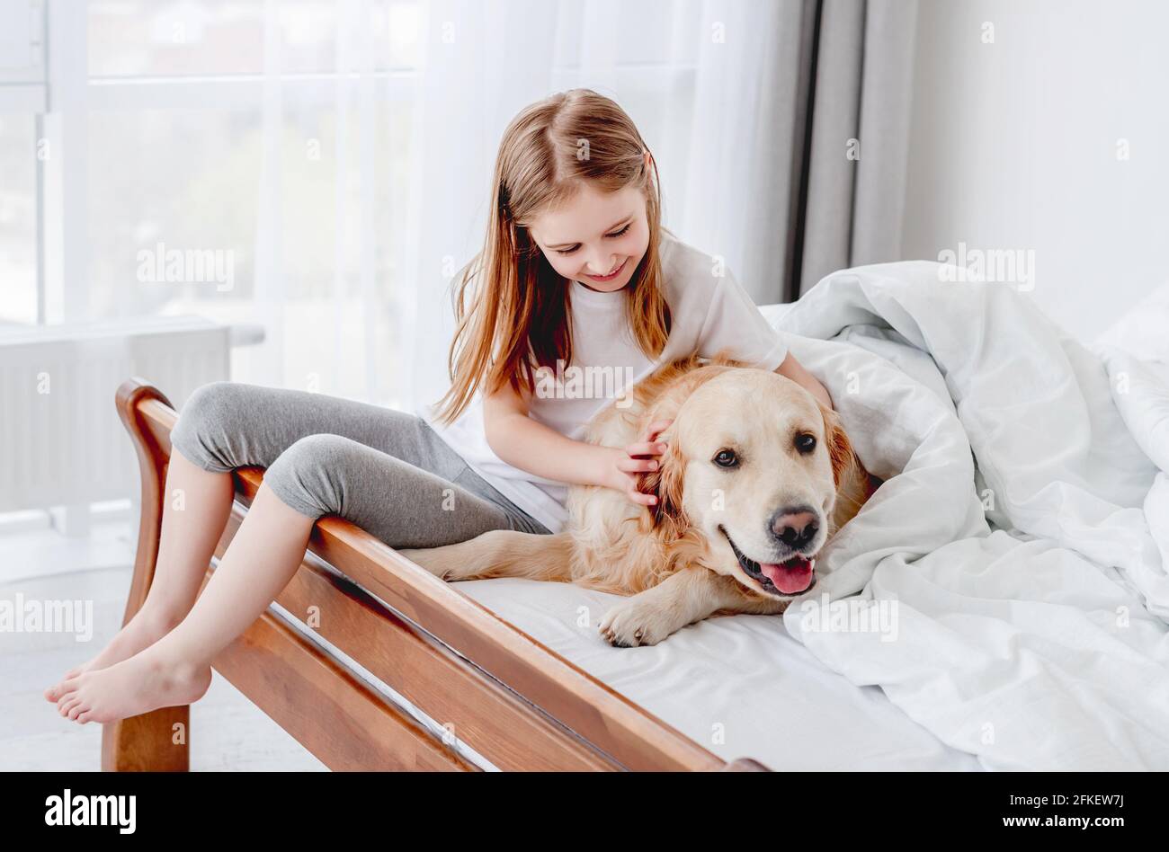Girl with golden retriever dog in the bed Stock Photo - Alamy
