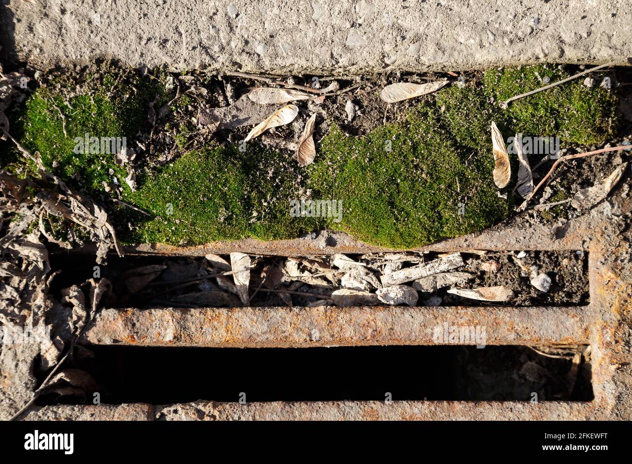 Image of old storm sewer system with moss Stock Photo
