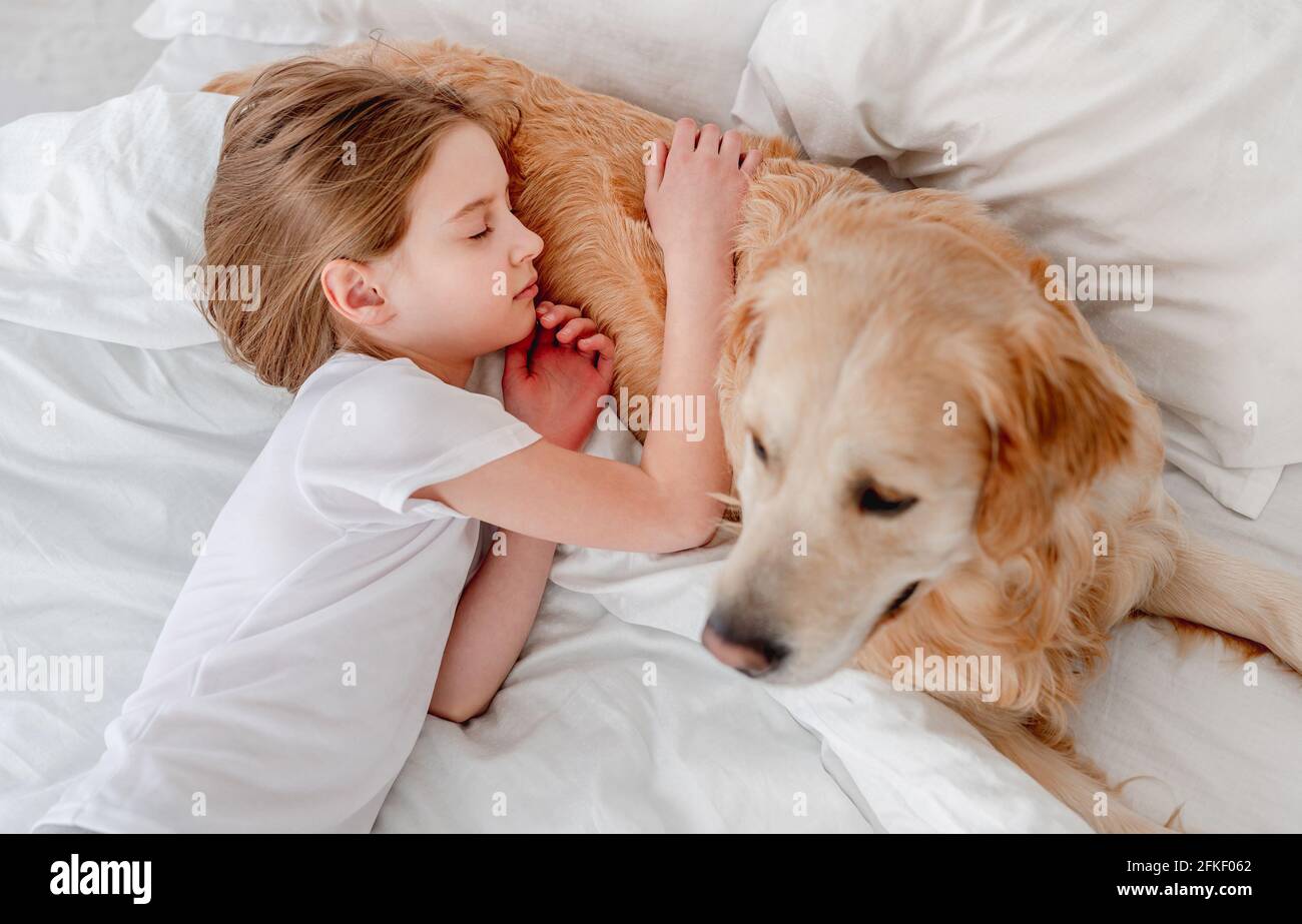 Girl with golden retriever dog in the bed Stock Photo - Alamy
