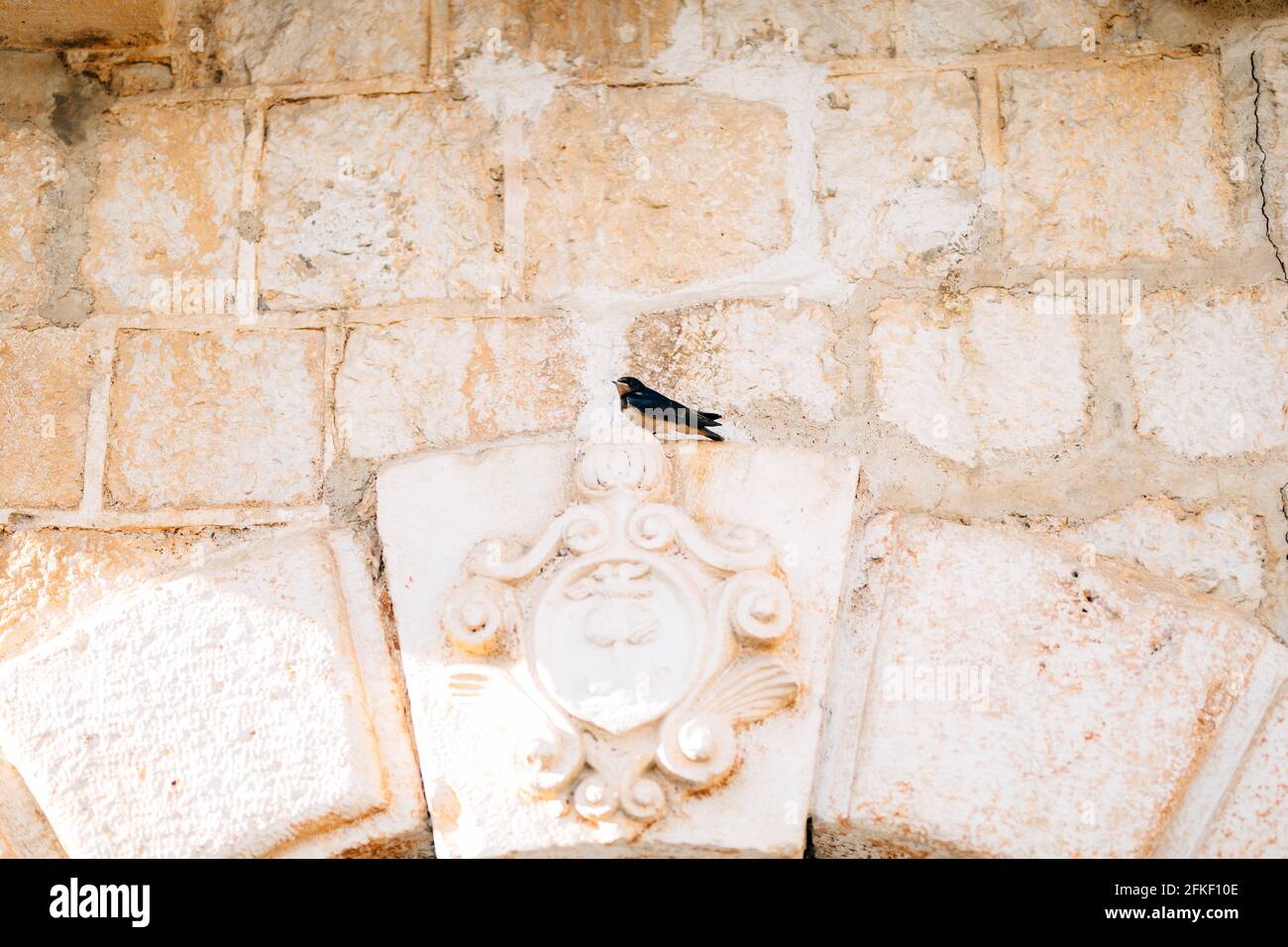 A bird sitting on the ancient wall. Stock Photo