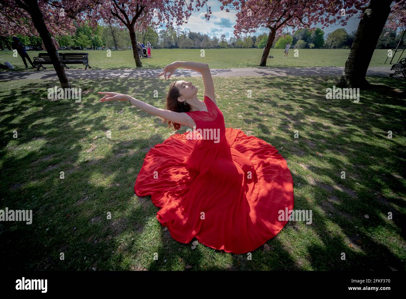 London, UK. 1st May 2021. UK Weather: Sunshine blossom in Greenwich Park. Rebecca Olarescu, a masters screendance student at the London Contemporary Dance School (LCDS), enjoys the sunny bank holiday sunshine by striking a pose near the vibrant cherry blossom trees in Greenwich Park. Credit: Guy Corbishley/Alamy Live News Stock Photo