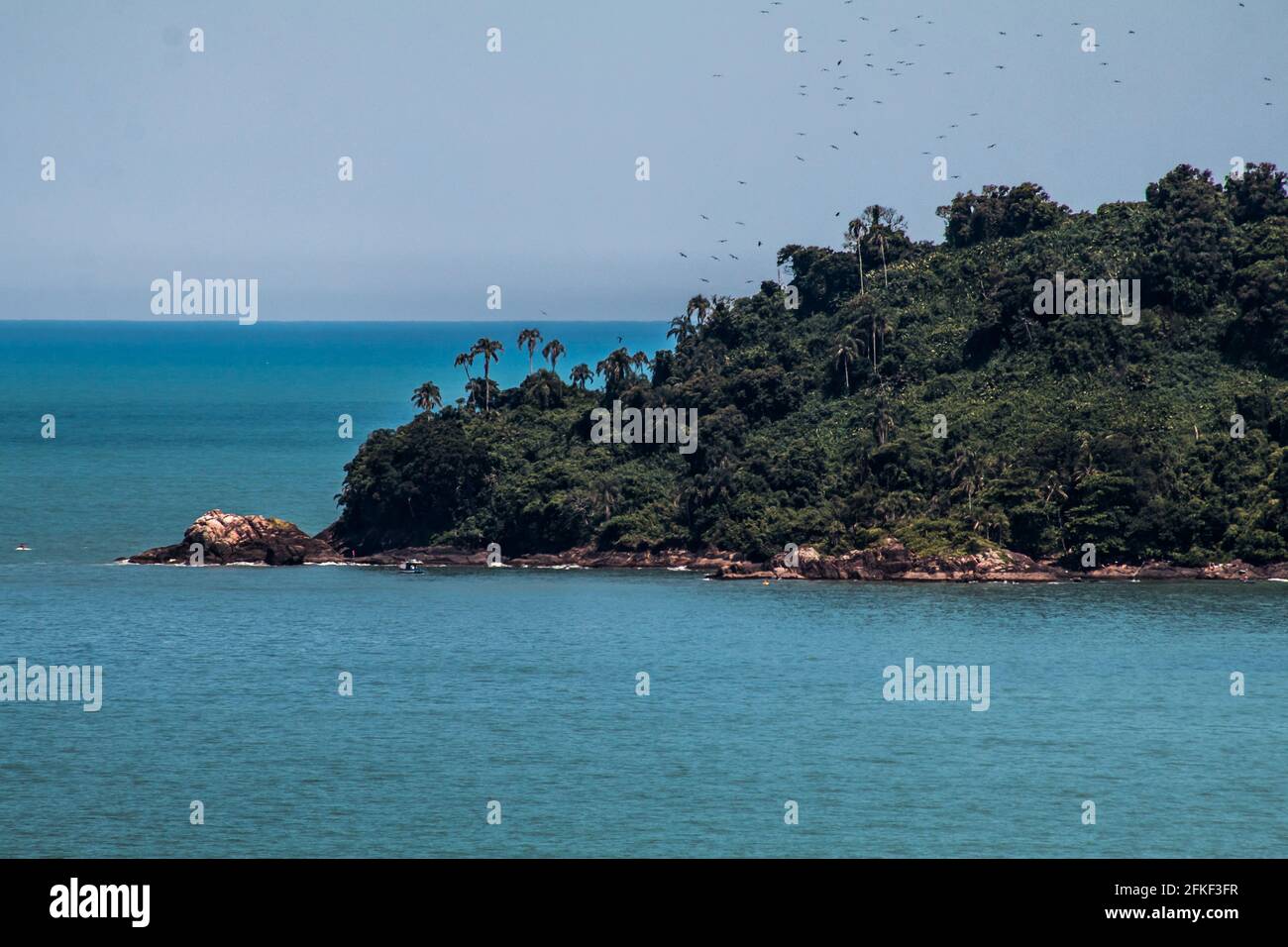 Far away tropical island with dozens of birds flying over it Stock Photo