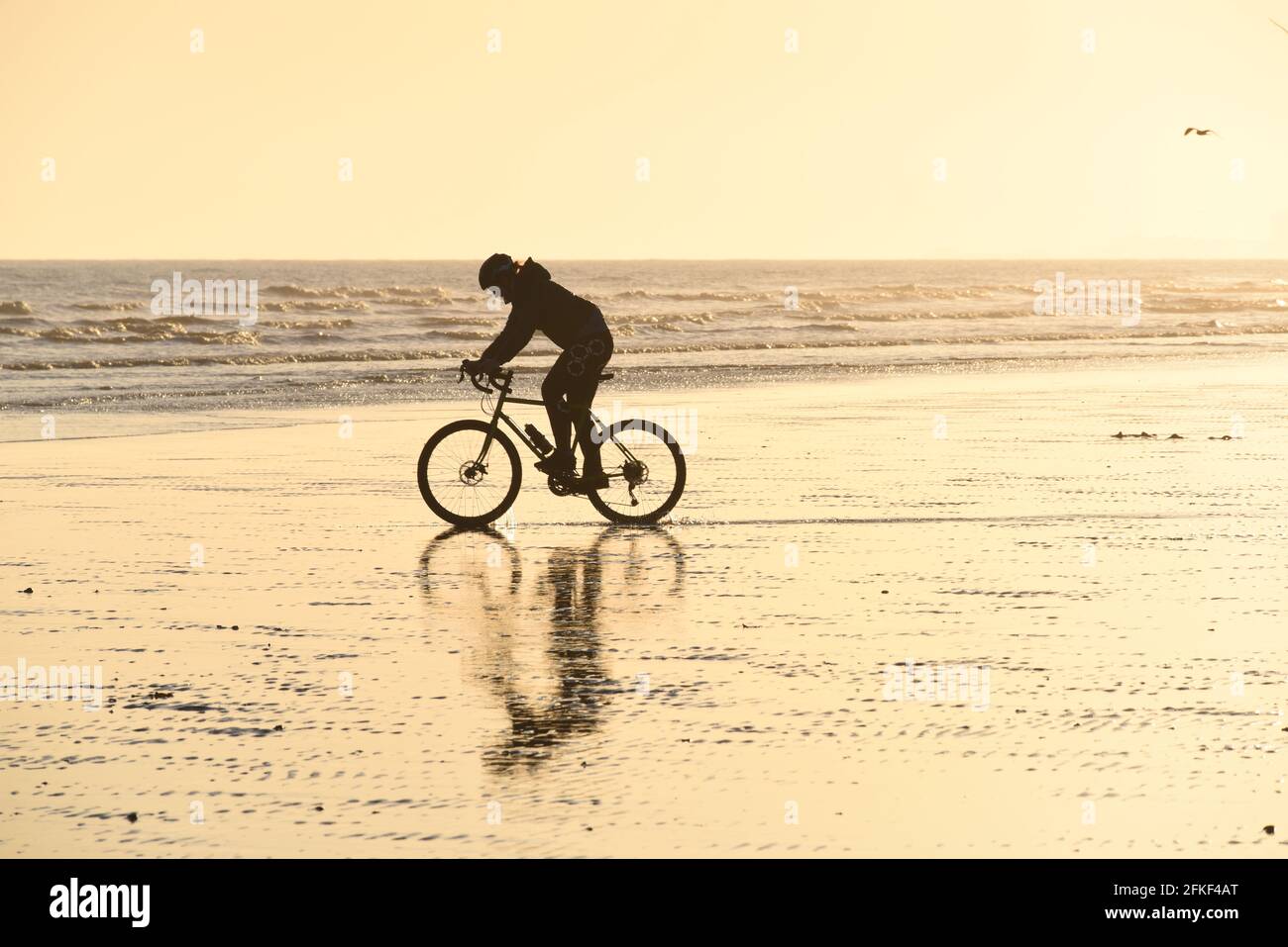A man riding a bicycle on the sand at low tide on Hove beach Stock Photo