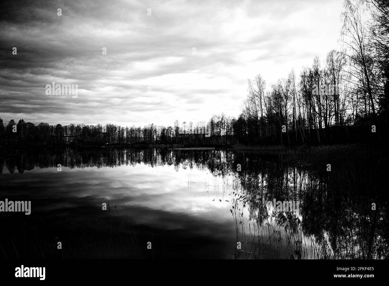 Scary view Black and White Stock Photos & Images - Alamy