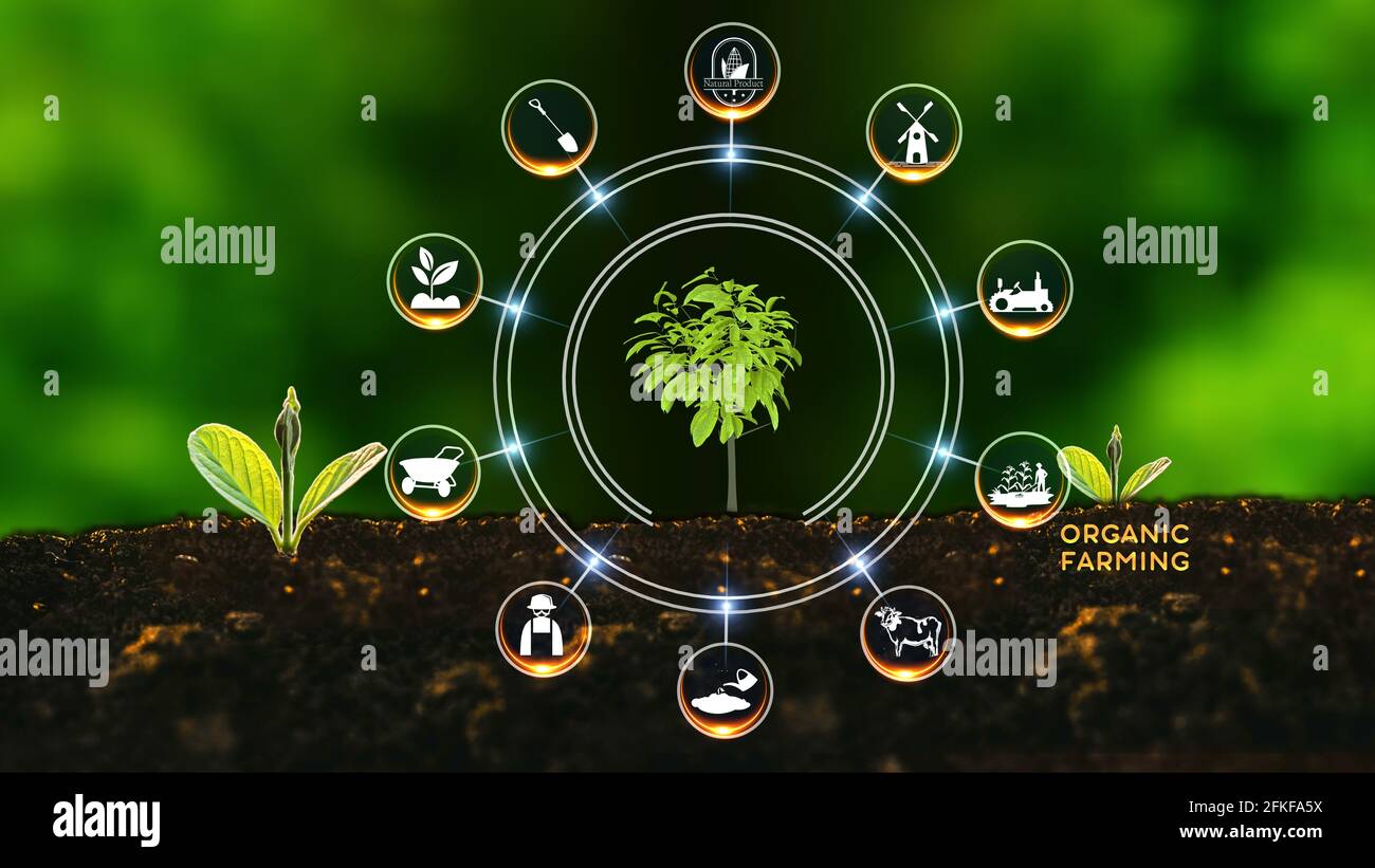 Organic Farming Concept Green environment with Center and spoke Concept ,Plant on center and