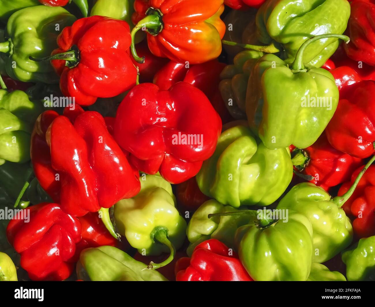 Mix of green and red whole paprika peppers Stock Photo