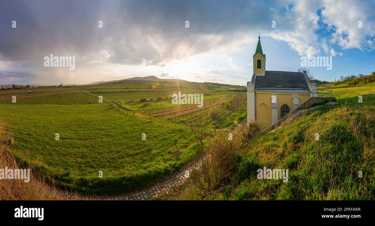 Guntramsdorf: chapel Weingartenkapelle, vineyard, mountain Anninger in Wienerwald, Vienna Woods, Niederösterreich, Lower Austria, Austria Stock Photo