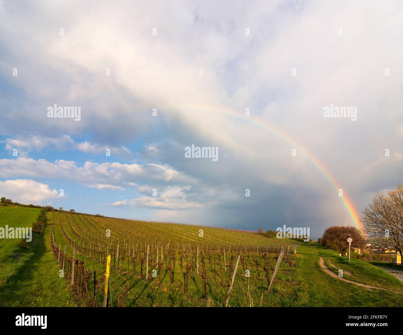 Guntramsdorf: vineyard at mountain Eichkogel, rainbow in Wienerwald, Vienna Woods, Niederösterreich, Lower Austria, Austria Stock Photo