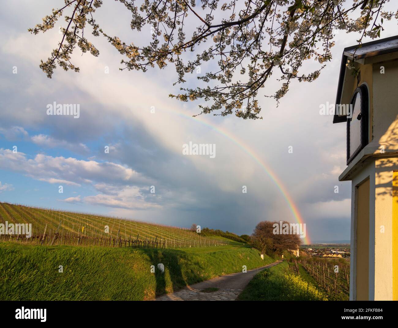 Guntramsdorf: 11. station of the Cross at chapel Weingartenkapelle, cherry blossom, vineyard, rainbow in Wienerwald, Vienna Woods, Niederösterreich, L Stock Photo