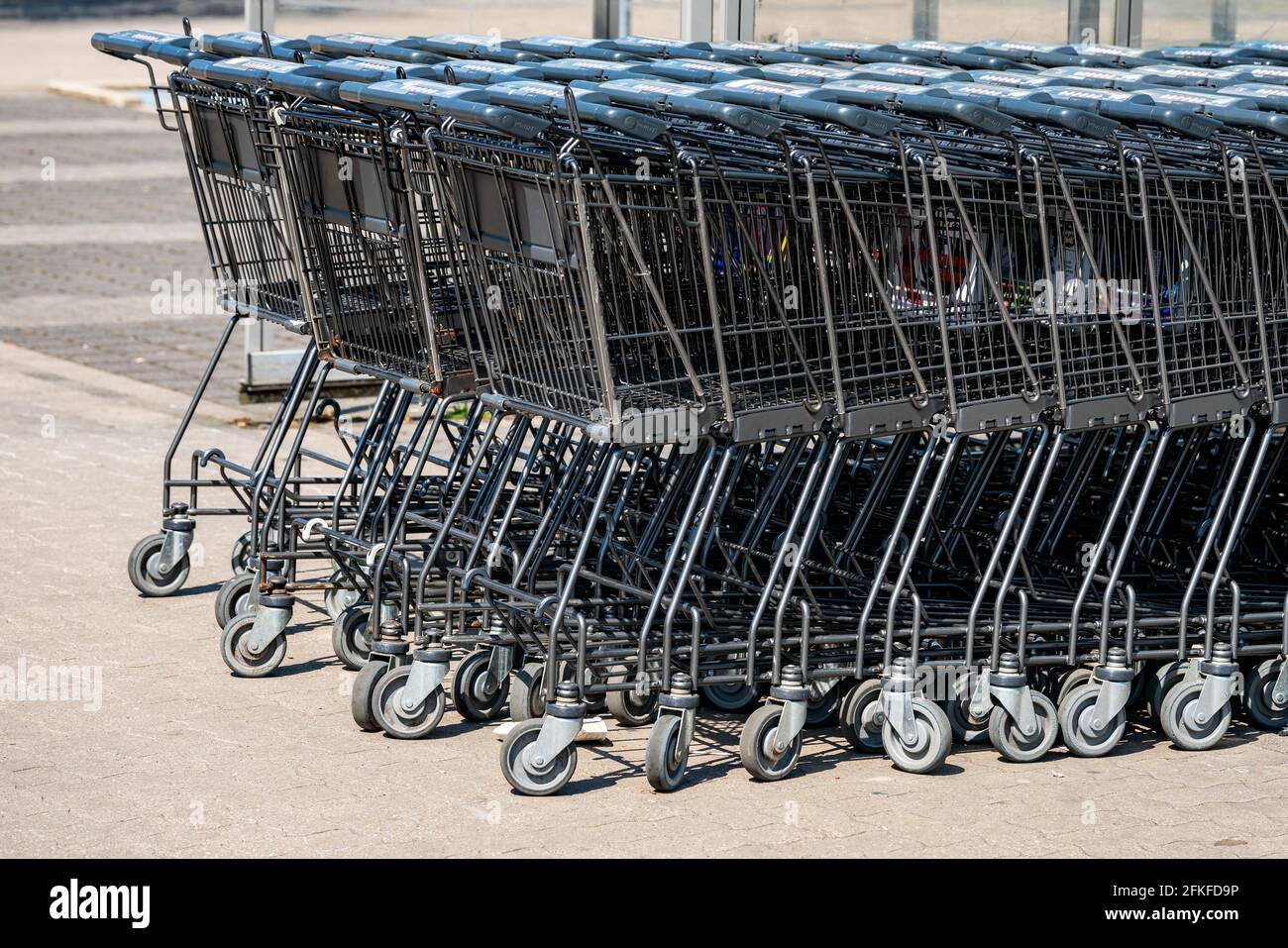 Supermarket shopping carts In The Store Stock Photo - Alamy