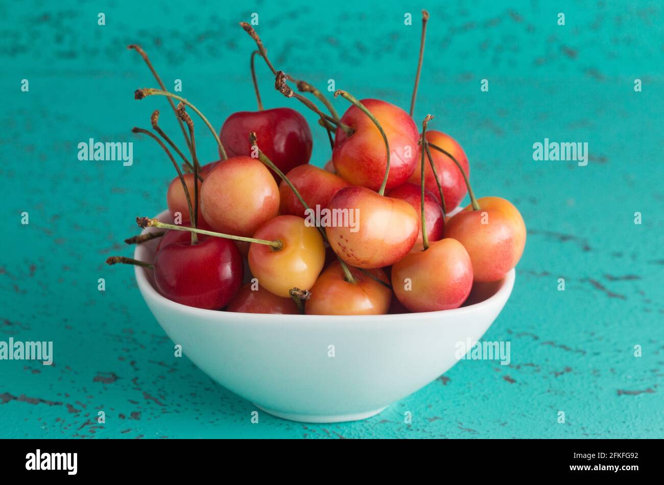 Bowl of Yellow and Red Cherries on a Teal Background Stock Photo - Alamy