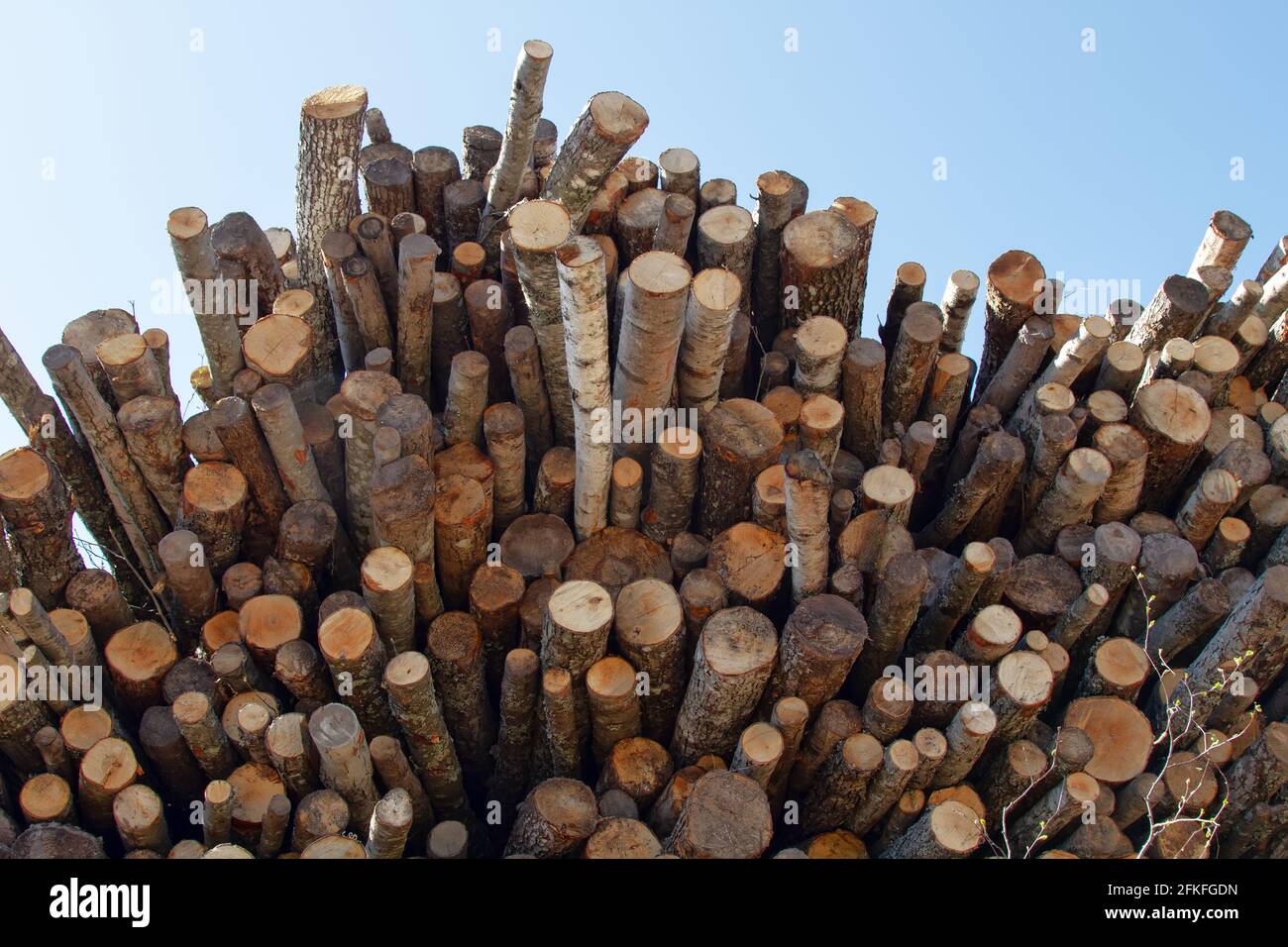 A stack of logs against the sky. Aspen Stock Photo - Alamy