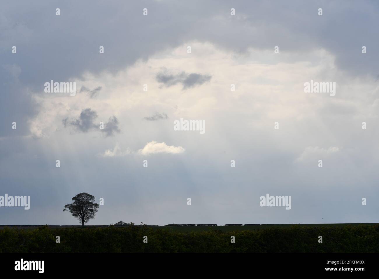 Powerful light beams hi-res stock photography and images - Alamy