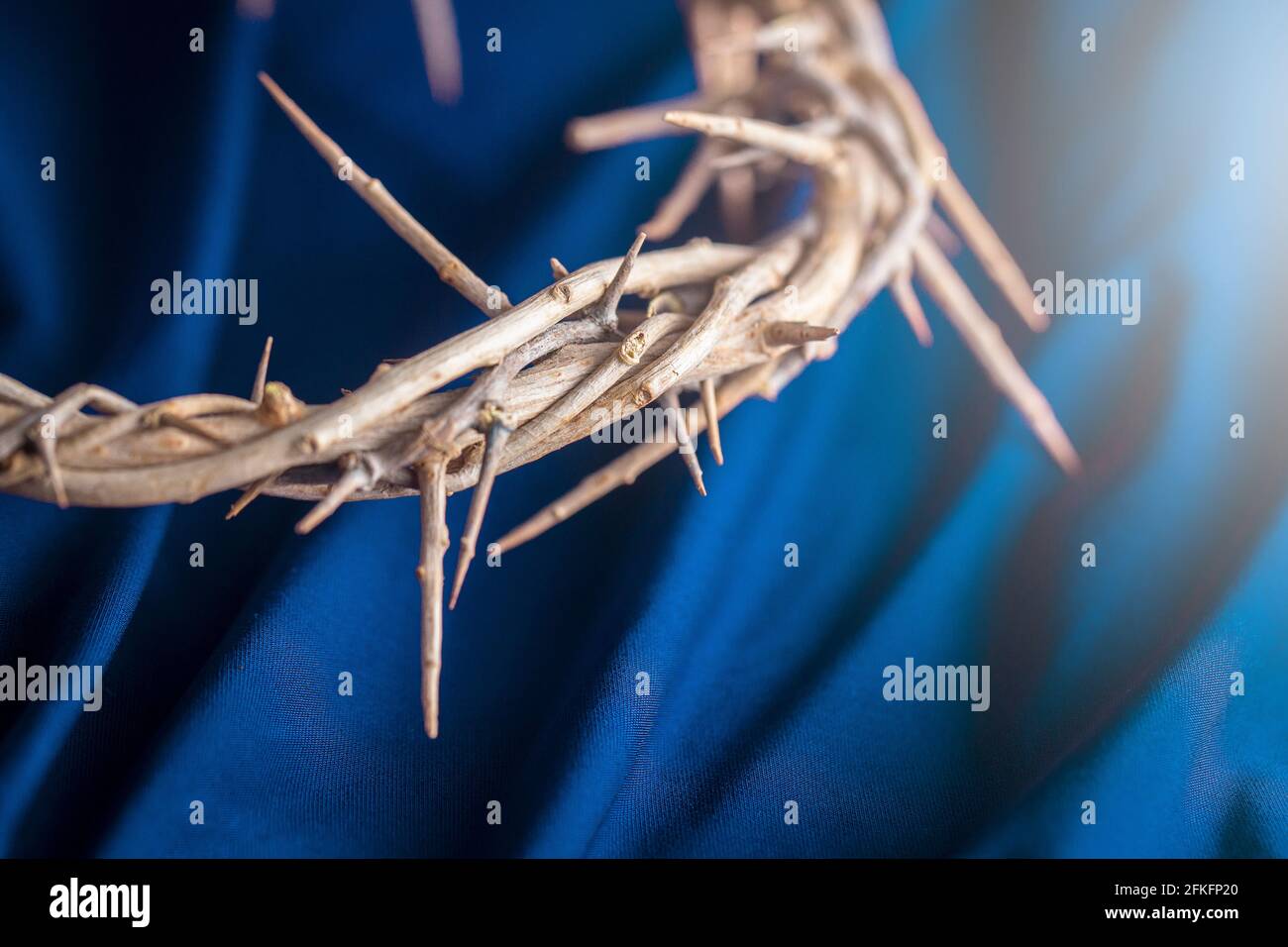 The Crown of Thorns that Jesus Wore Stock Photo Alamy