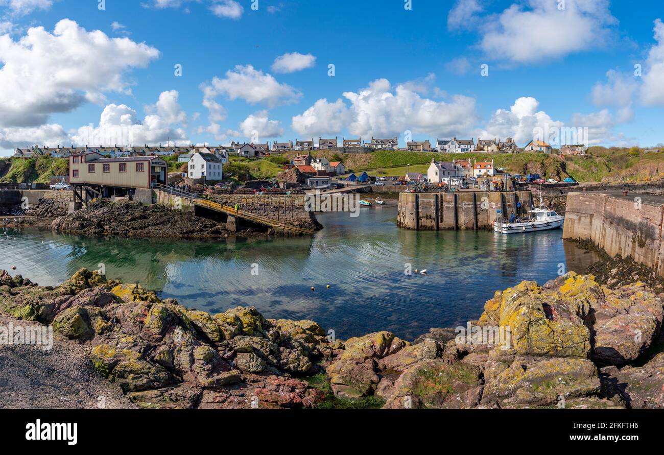 View of fishing harbour at St Abbs in Scottish Borders, Scotland, UK Stock Photo