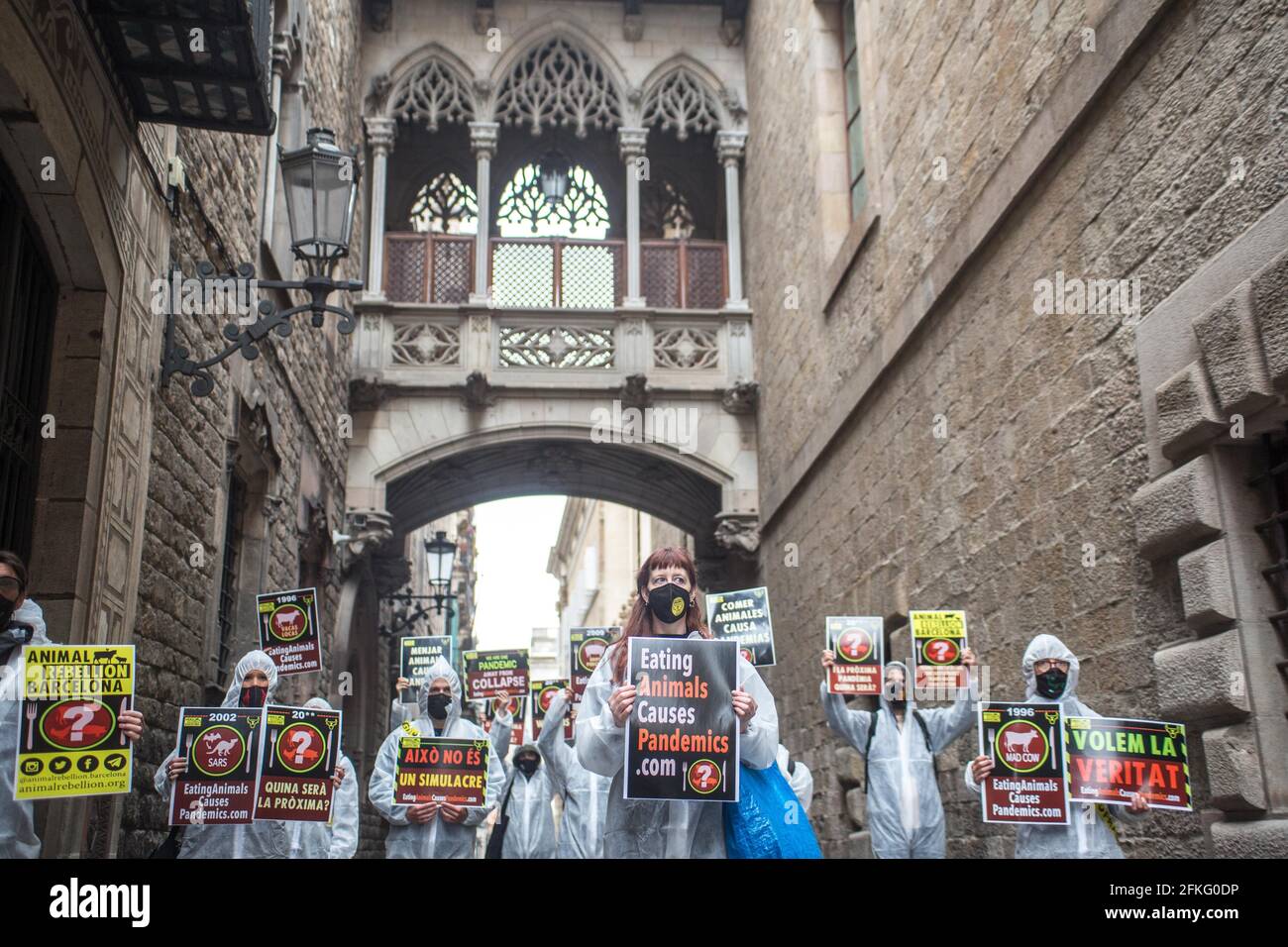 Barcelona, Catalonia, Spain. 1st May, 2021. Protesters are seen in front of the Bishop's Bridge in Barcelona with banners that read, Eating animals causes pandemics.The Barcelona representatives of Animal Rebellion, an international movement for the fight for a sustainable food system, climate justice and defense of animals, has joined that Saturday, May 1, to a Global action, carried out in different cities around the world, to alert what to eat animals is the cause of pandemics. Credit: Thiago Prudencio/DAX/ZUMA Wire/Alamy Live News Stock Photo