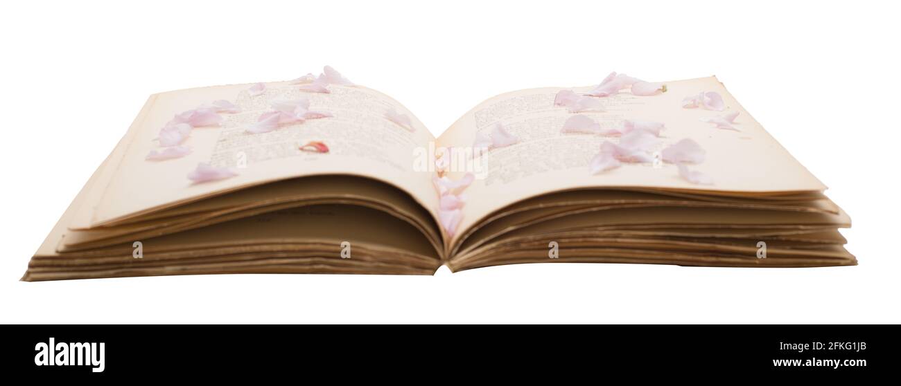 Recipe book open blank pages hi-res stock photography and images - Alamy