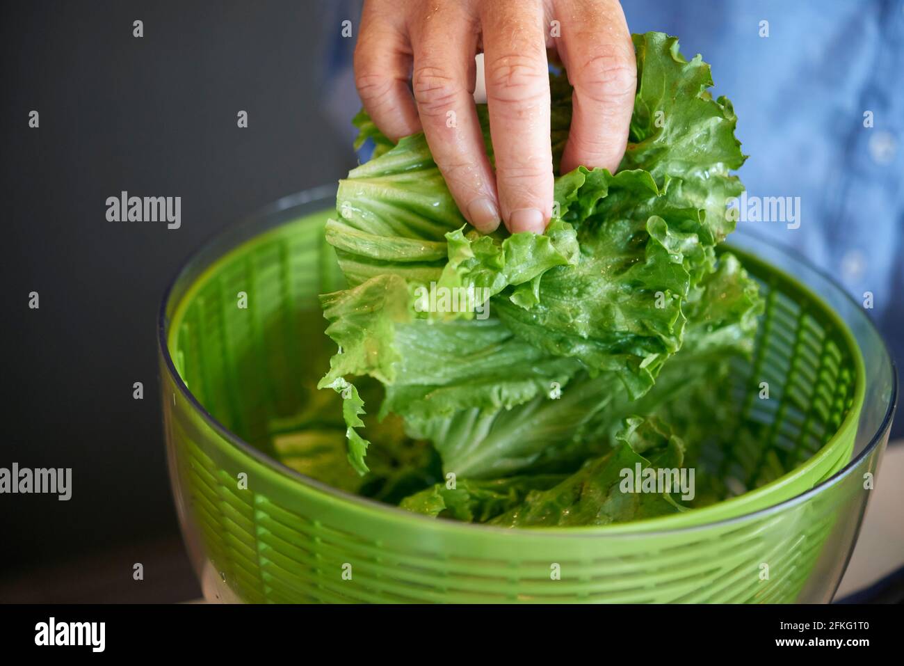 WomanÕs hand reaching for lettuce from salad spinner Stock Photo