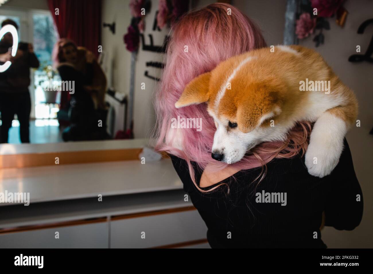 shiba hair