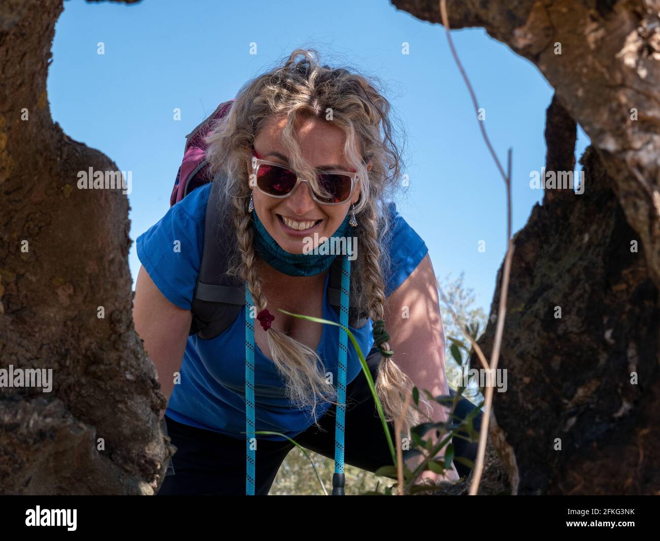 Blonde Spanish cheerful female with sunglasses looking out of the hollow in the trunk of a tree Stock Photo
