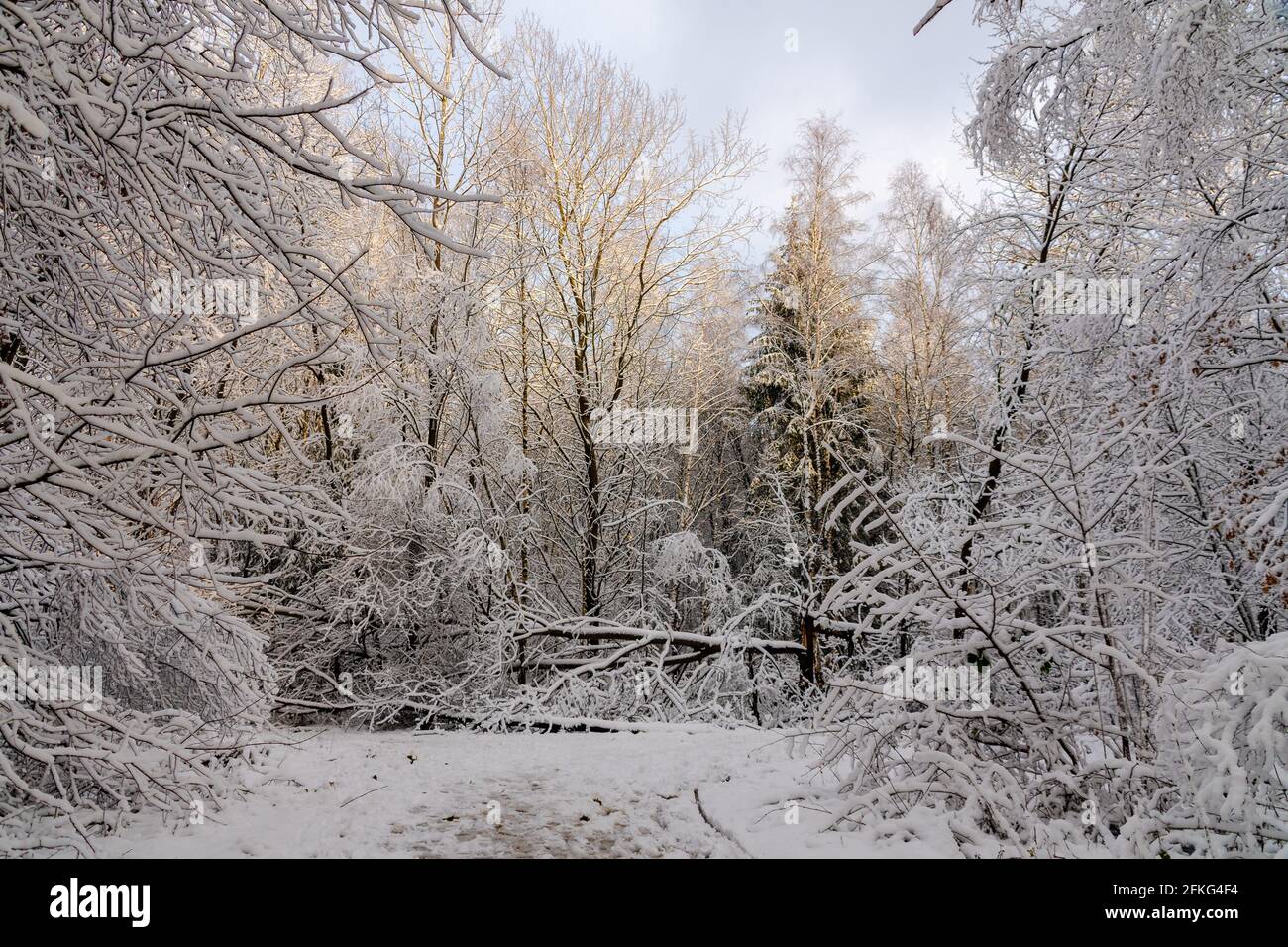 Wiesbaden in winter with many snow Stock Photo - Alamy