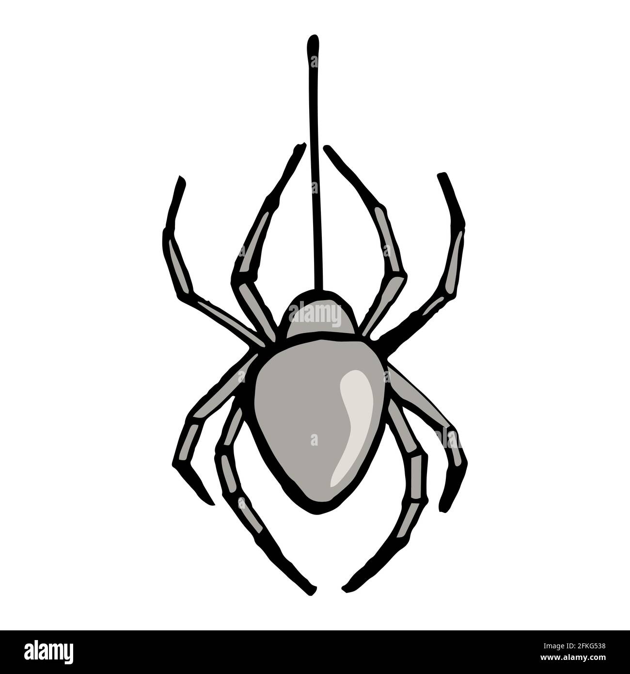 Spider tattoo hires stock photography and images  Alamy