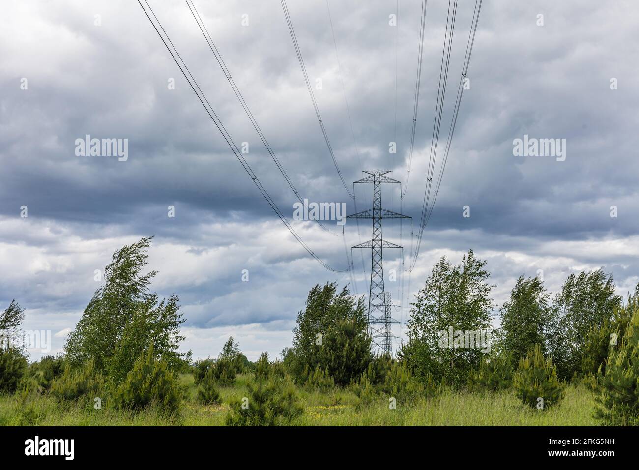 Moody sky over meadow and power line Stock Photo