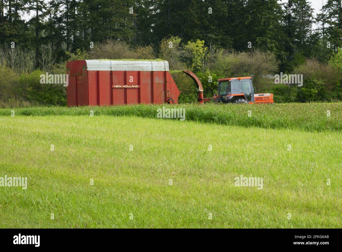 Fodder cutting machine hi-res stock photography and images - Alamy
