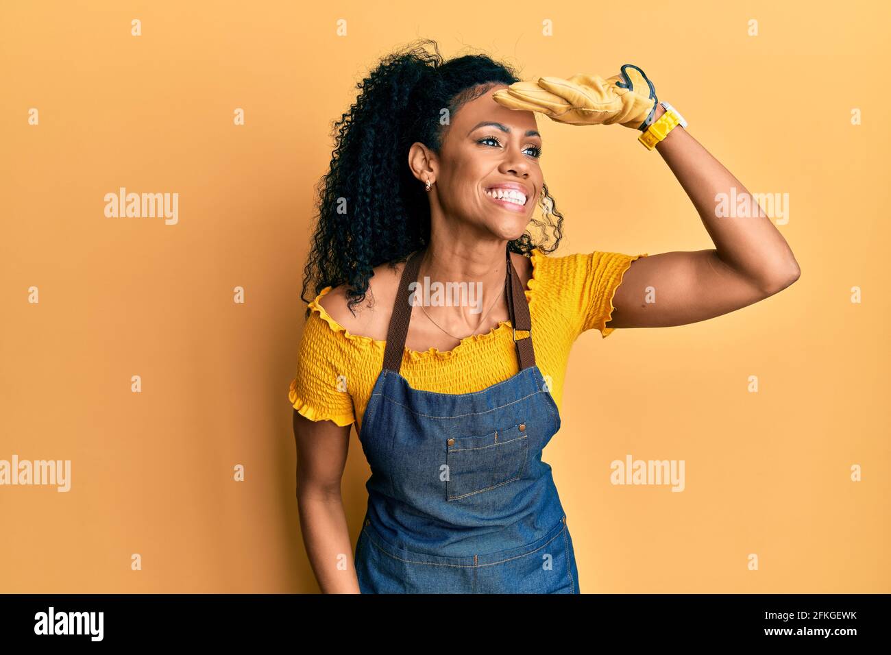 Middle age african american woman wearing professional apron very happy ...