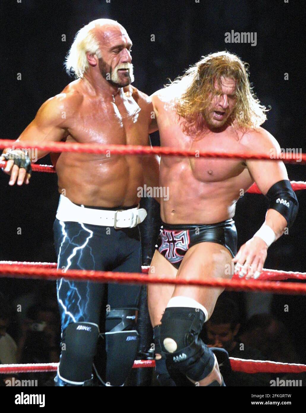 Hulk Hogan 2002